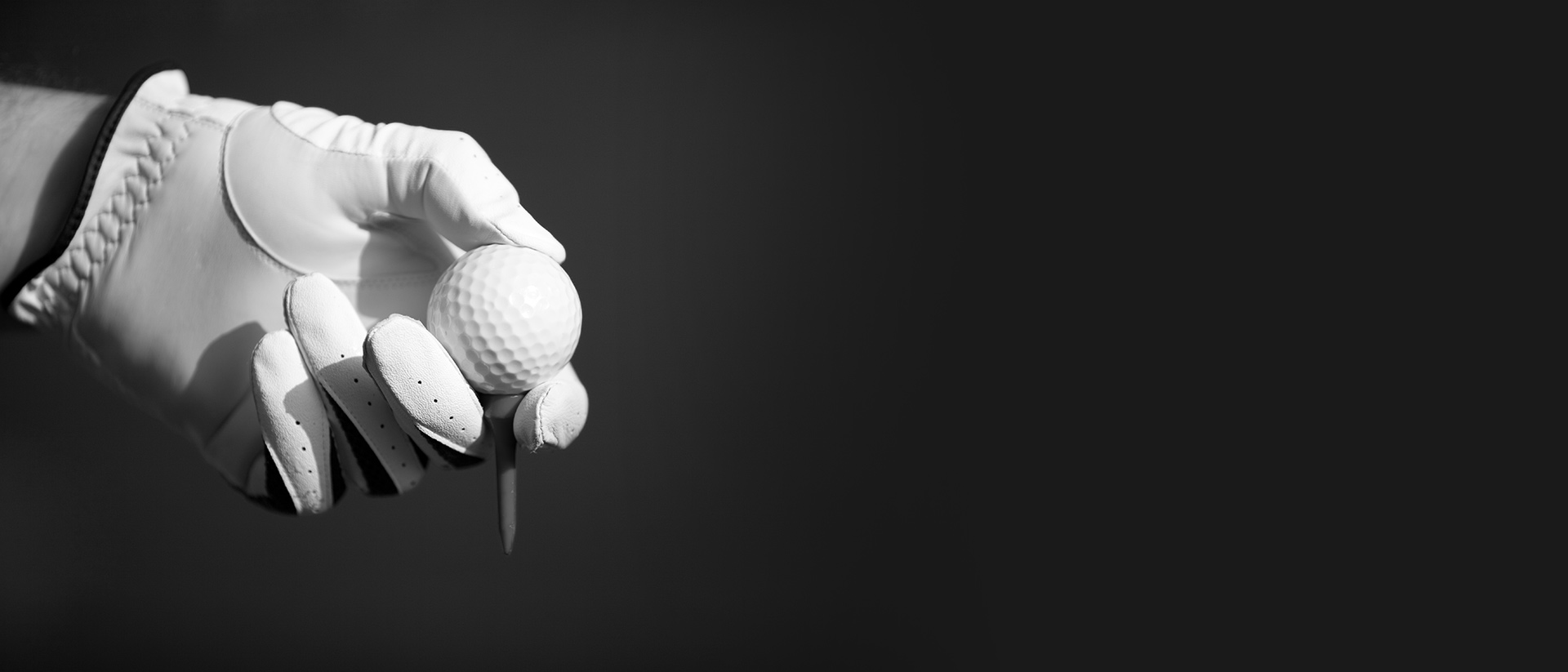 Heritage Pointe Golf Club aboutBG